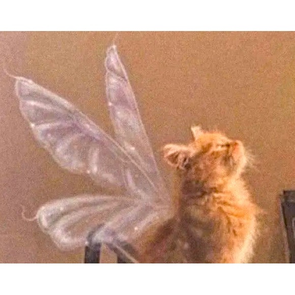 Meet your Posher, B - Picture 1 of 1